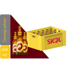 Skol 600ml - Caixa
